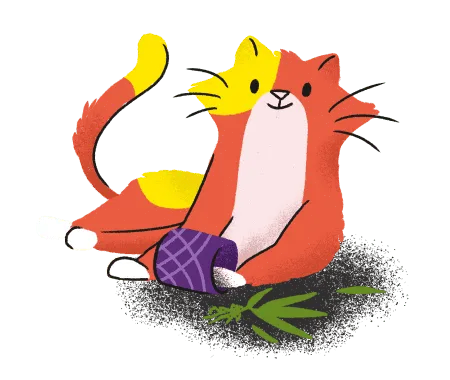 cat with catnip