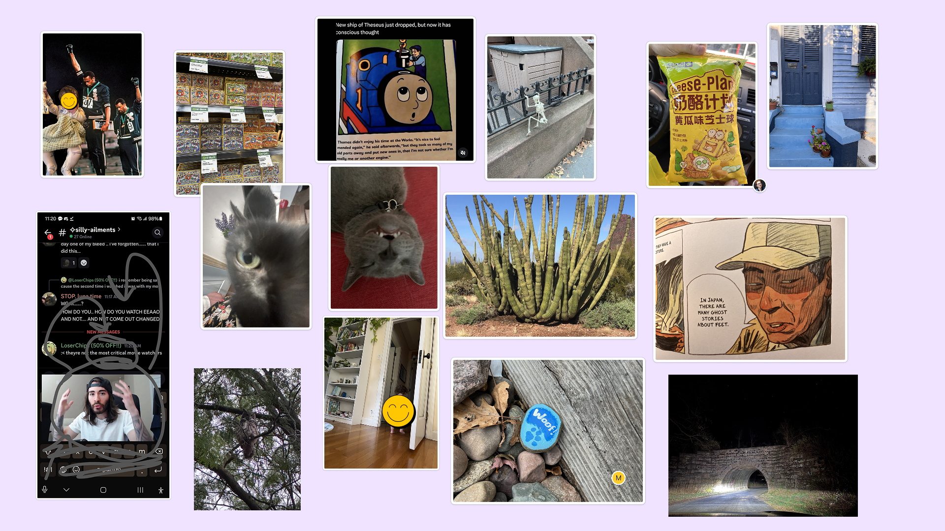 An assortment of random images from peoples camera rolls