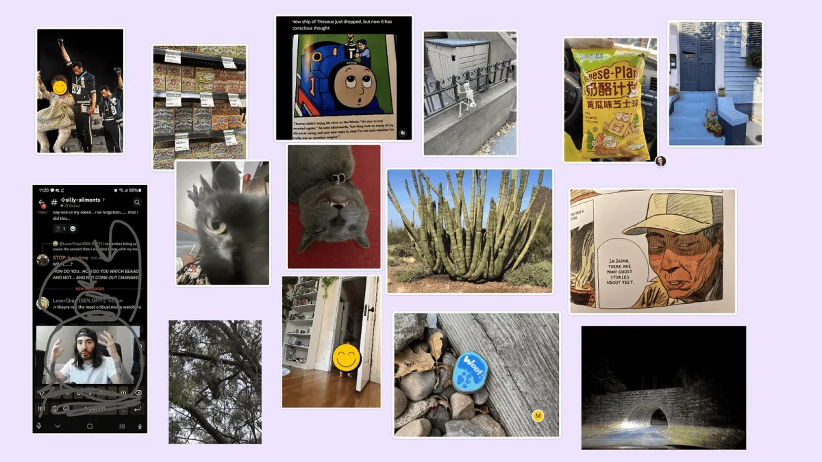 An assortment of random images from peoples camera rolls