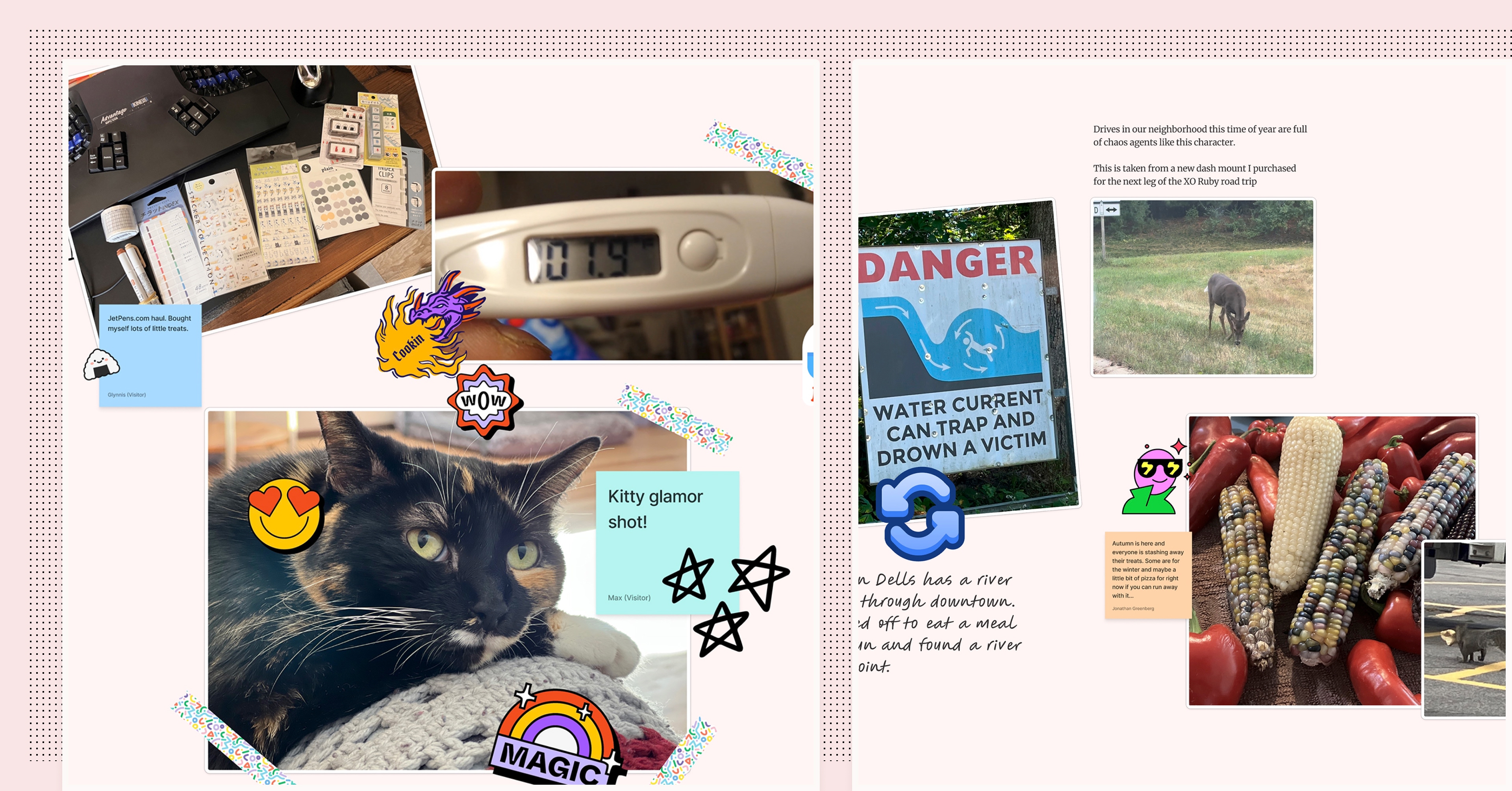 An image of a thermometer at a temp of 101.9, a picture of a cat, a picture of a bunch of stationary paper and stickersa pictures of a sign depicting the dangers of water currents, a photo of a dear in a field and a picture of jewel corn on the cob.