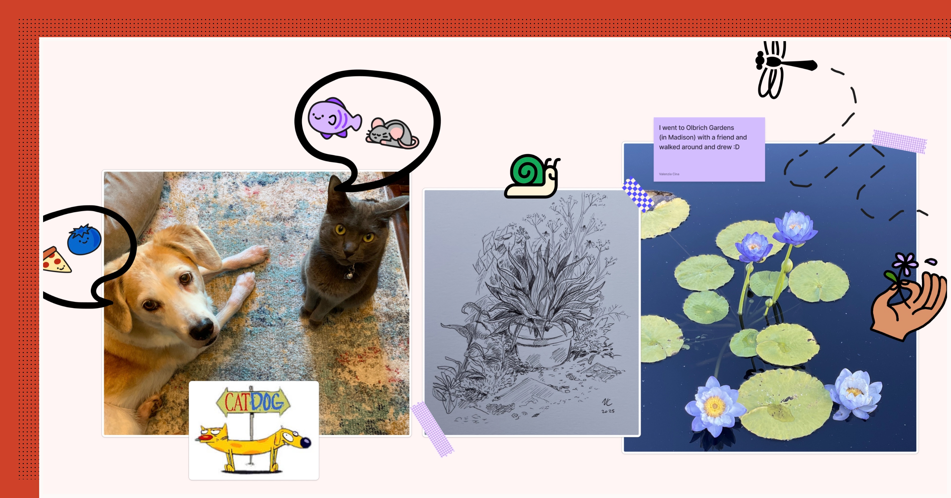 An image of a photo of a cat and dog, a drawing of plants, a photo of lily pads