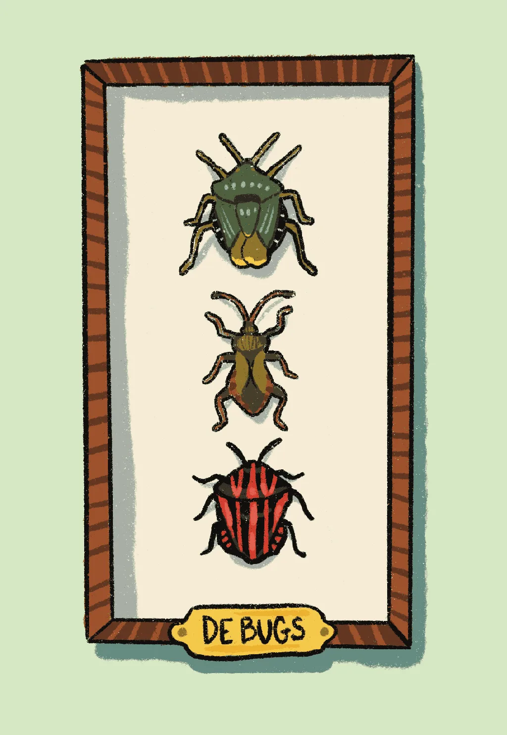 De Bugs A drawing of three pinned bugs in a vertical wooden box with a yellow label saying "De Bugs"