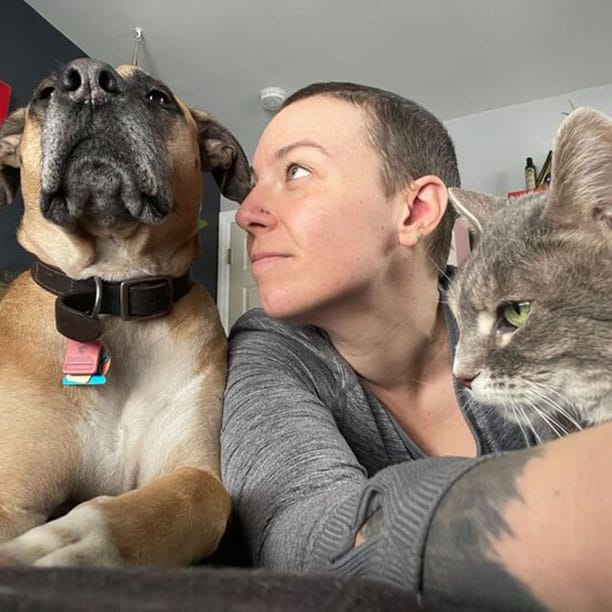 Indy the pupper, Sookie the kitty, and Kelly looking off in the far off distance wondering who is going to feed them treat