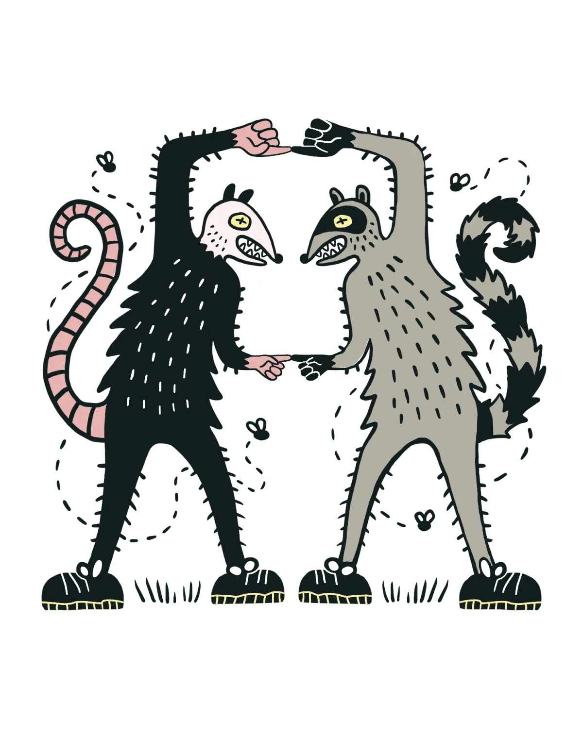 An illustration of a possom and a raccon posed next to each other
