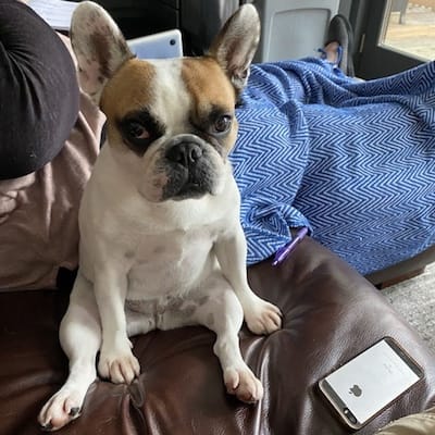 Riesling unhappy that it's cold outside once again