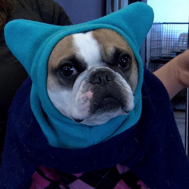 Riesling telling you that it's important to stay warm in the cold