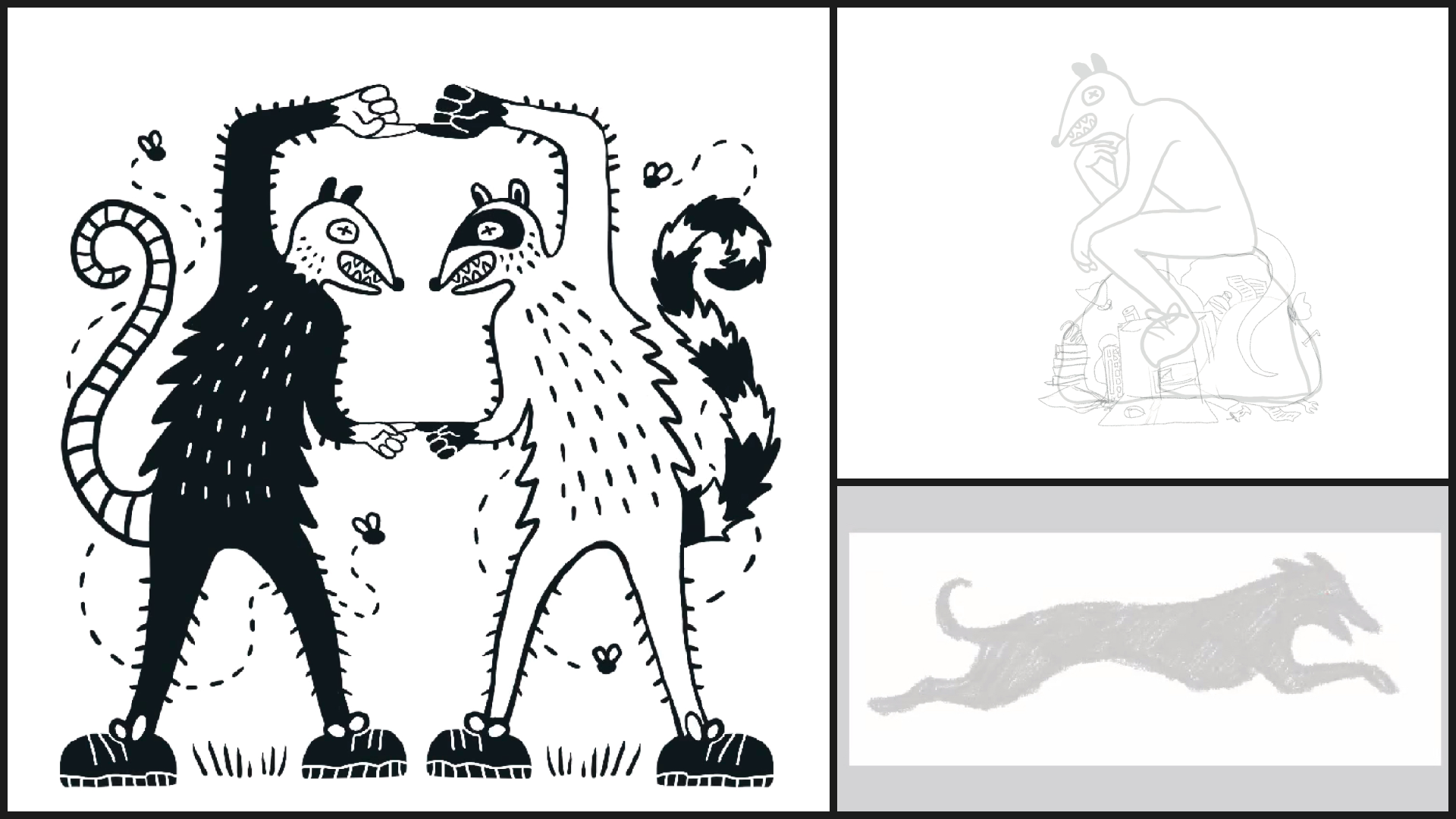 Sketches of possums, raccons and dogs in various poses