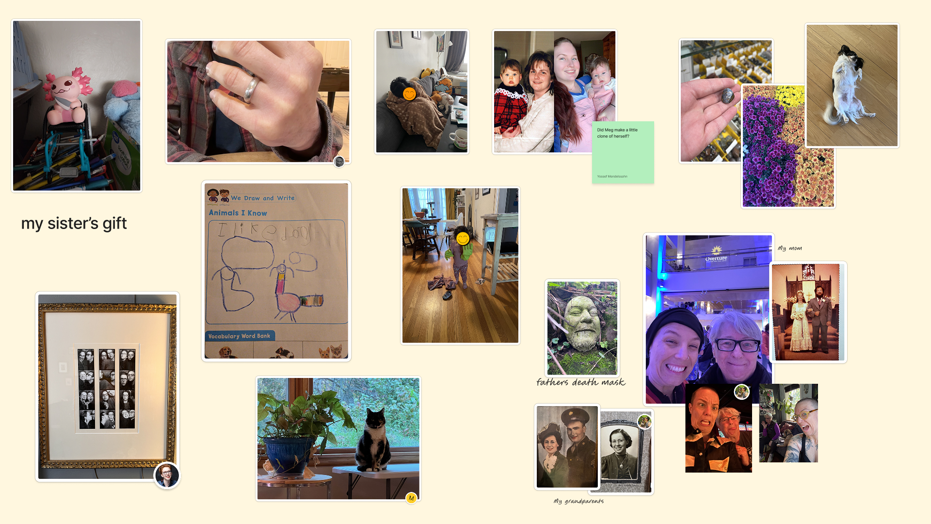 Pictures of friends, family and assorted precious items
